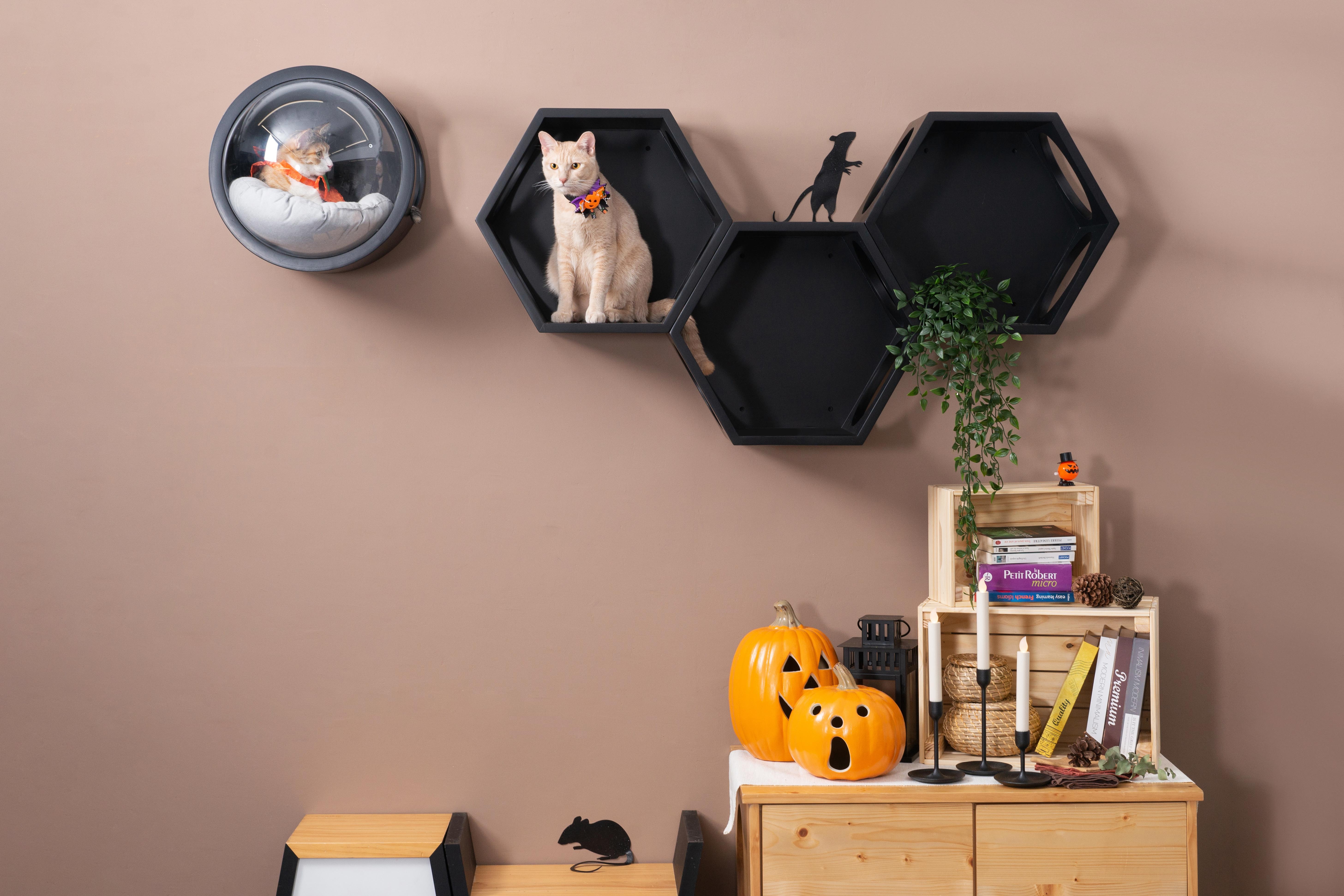 Busycat Hexagon Floating Cat Shelf