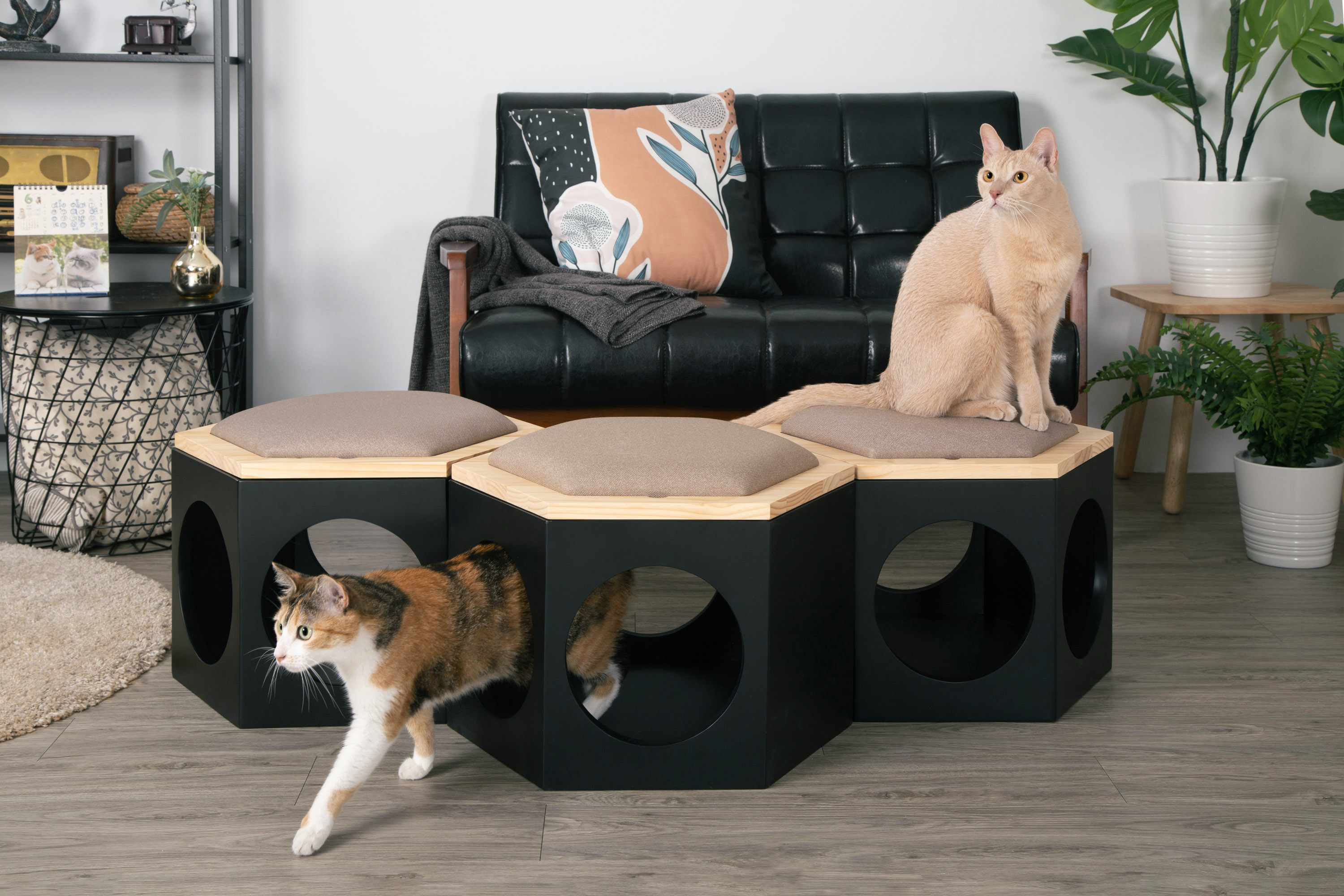 Busy Hexagon Chair Cover Plate