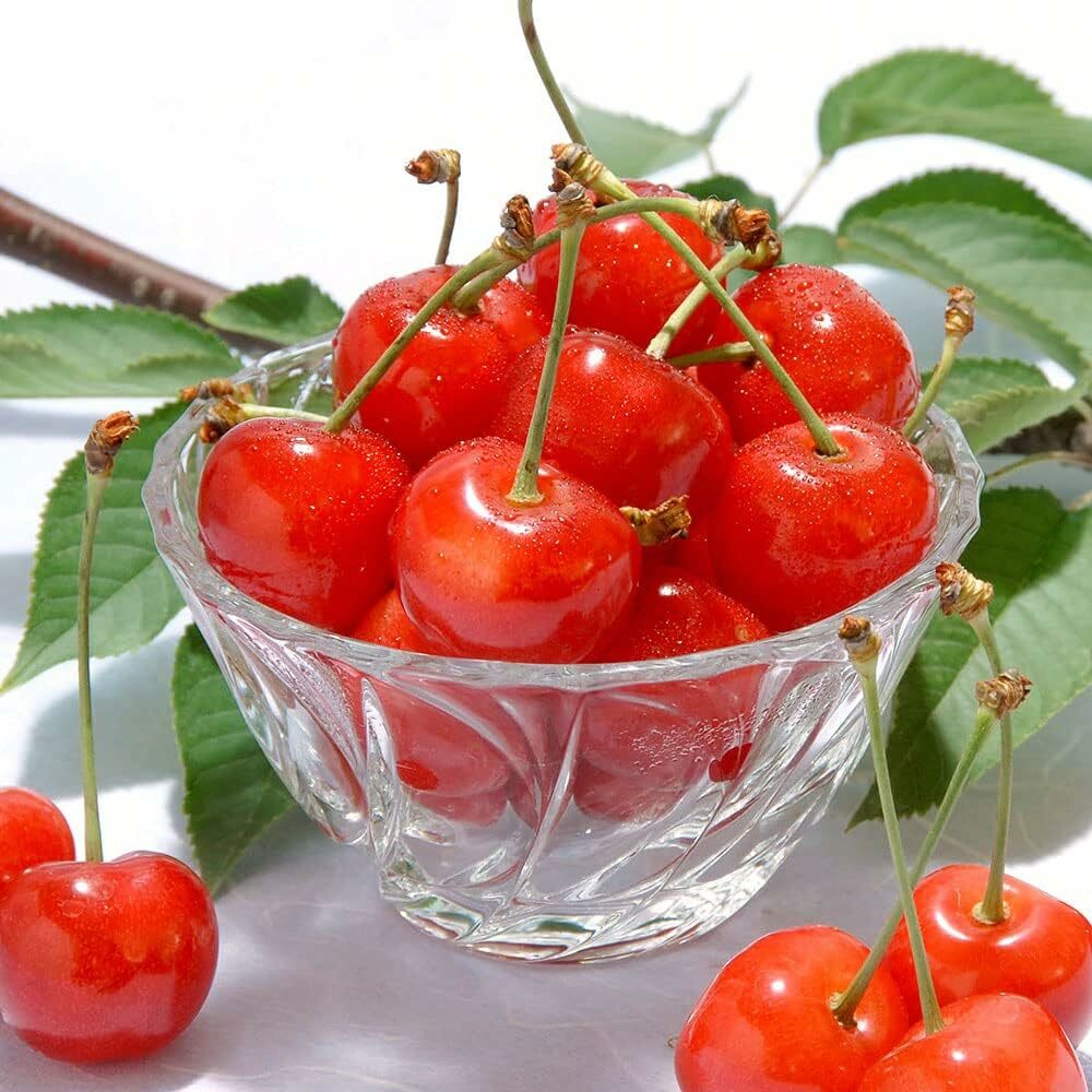 山形櫻桃(小盒) 約100g/盒