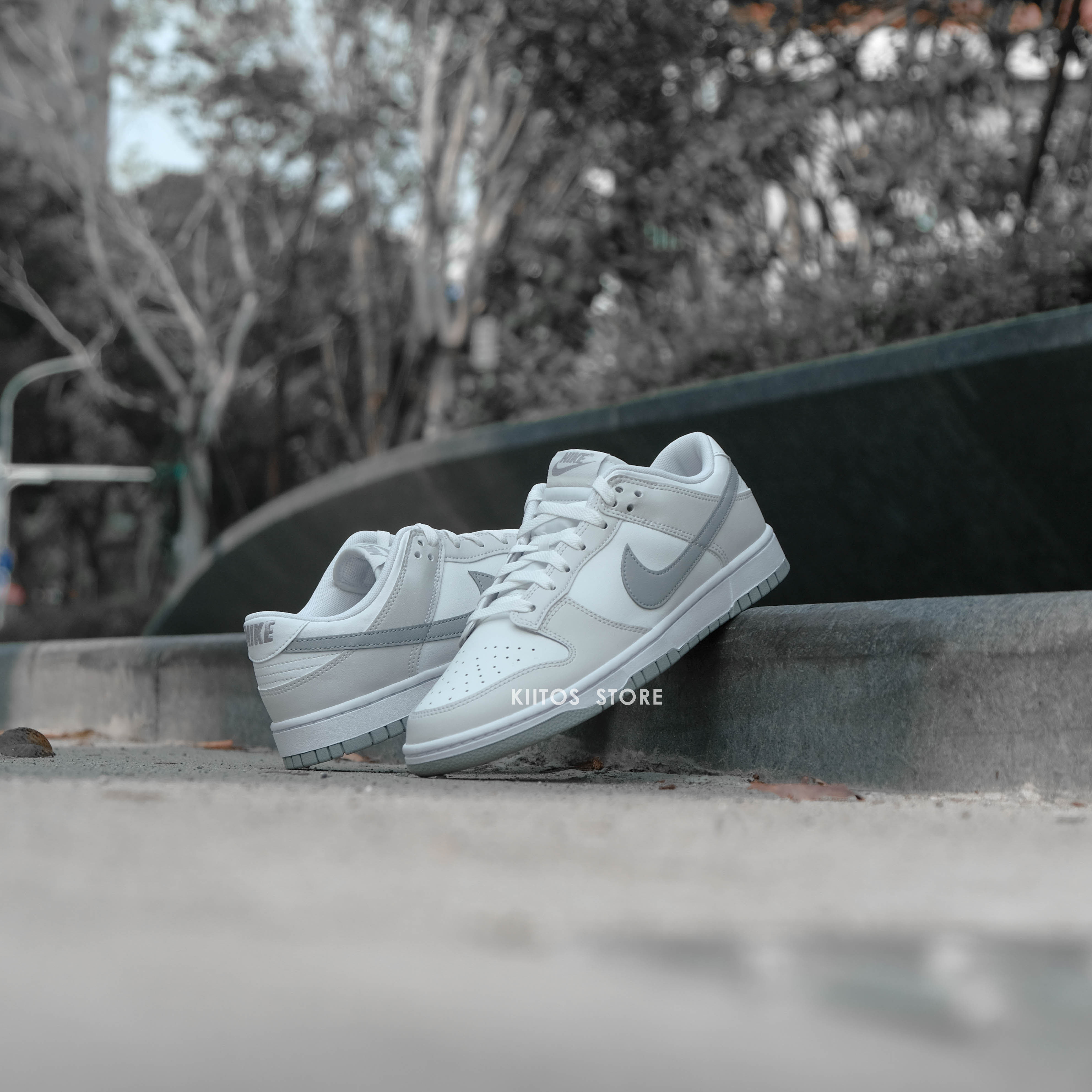 NIKE DUNK LOW 鉑金灰 SUMMIT WHITE/LIGHT SMOKE GREY-PLATINUM TINT DV0831-106