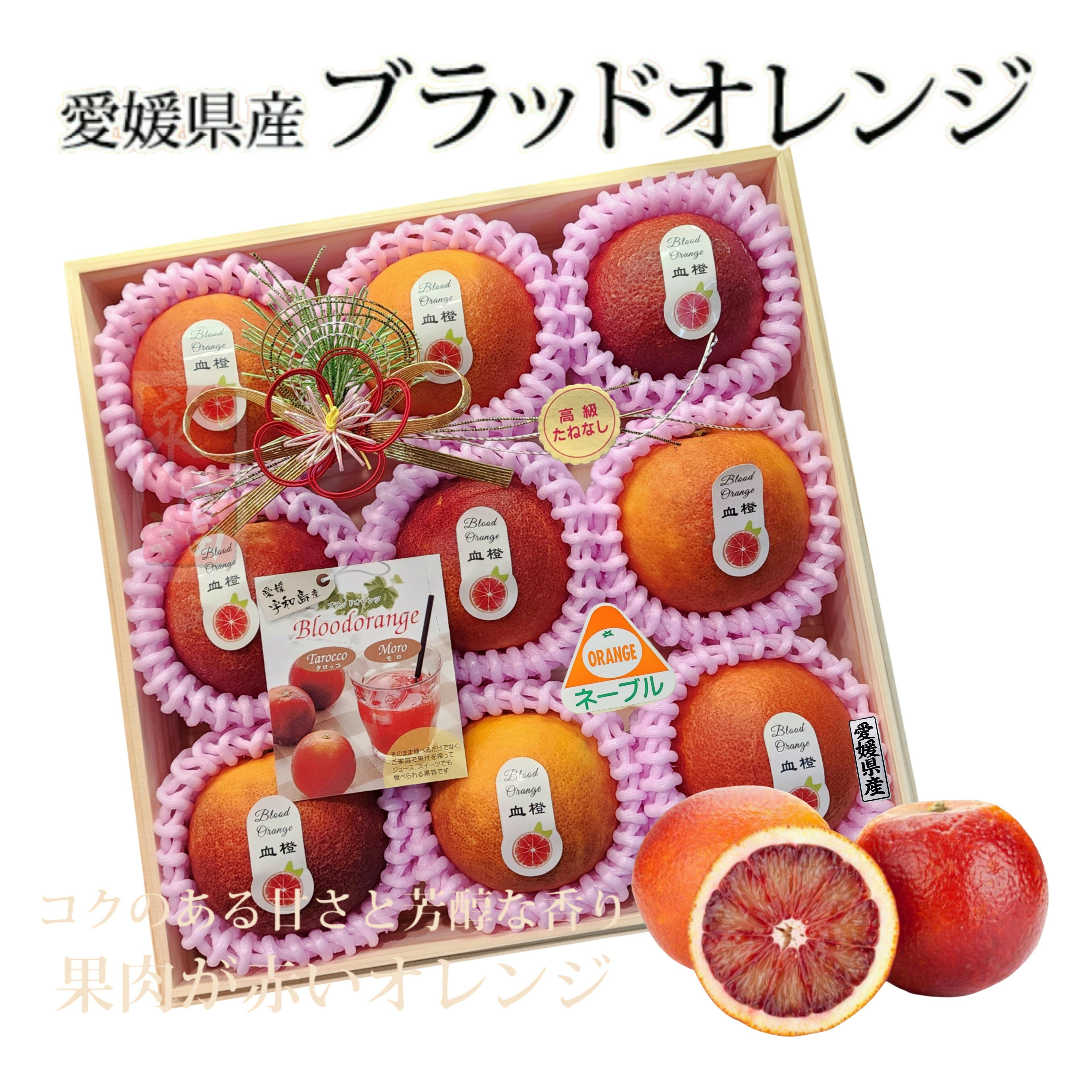 日本愛媛縣血橙