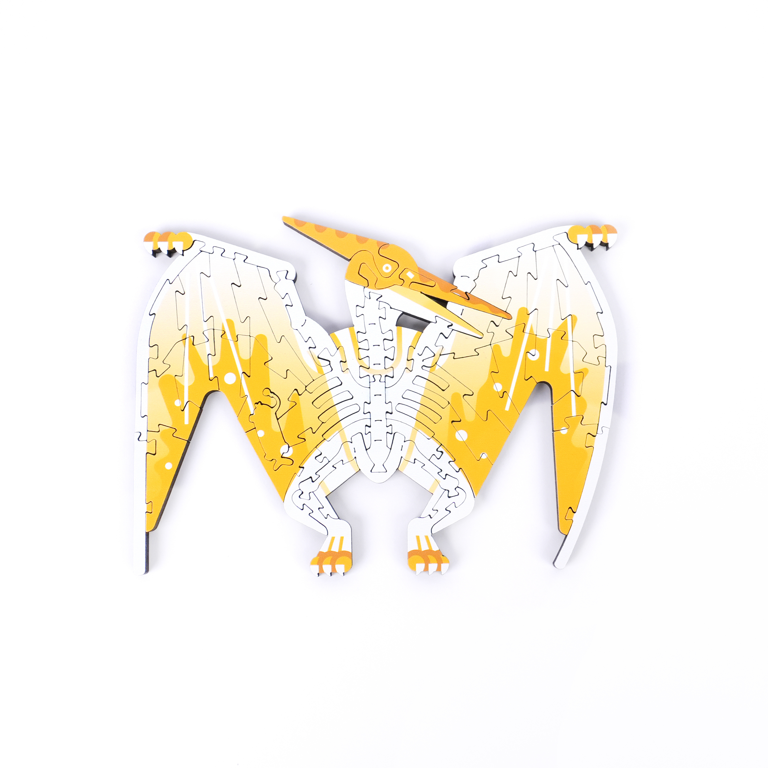 白堊紀恐龍-翼龍