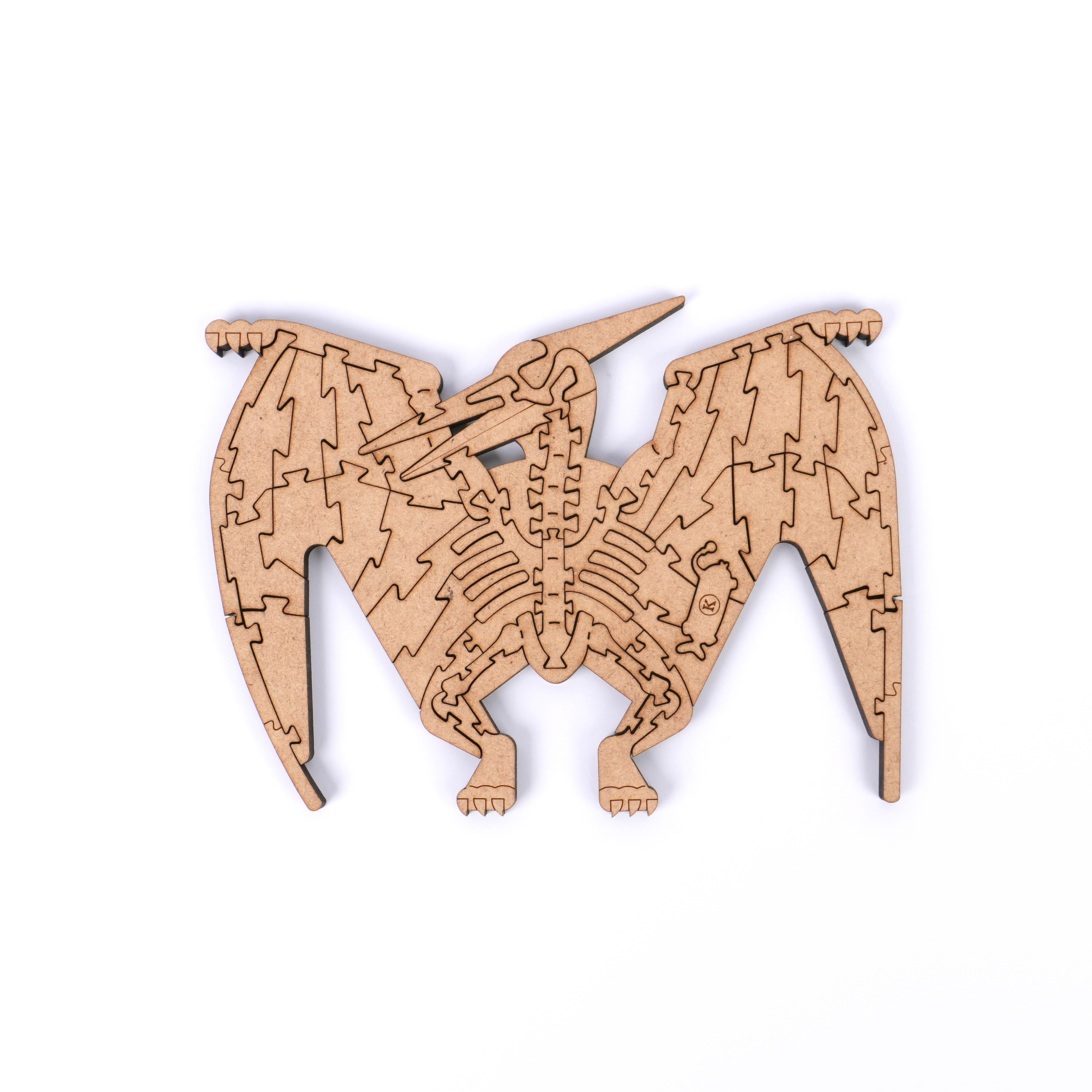 白堊紀恐龍-翼龍