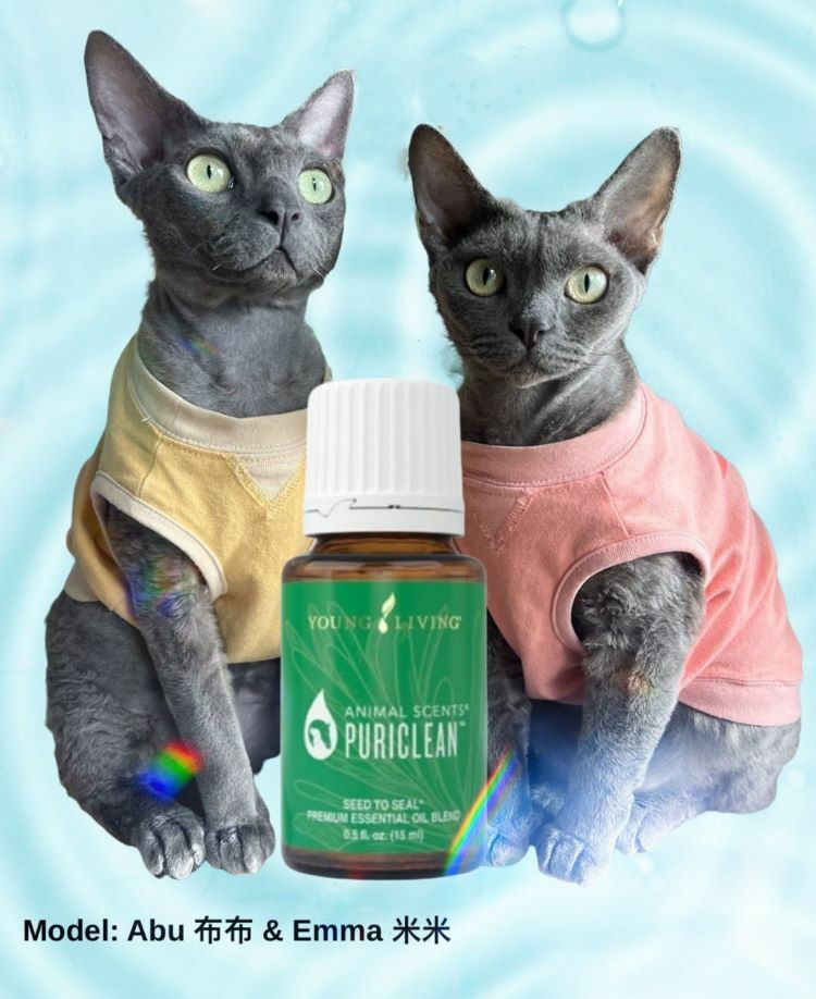 Young Living 寵物精油 Animal Scents® Puriclean™ 有助於清理輕微的擦