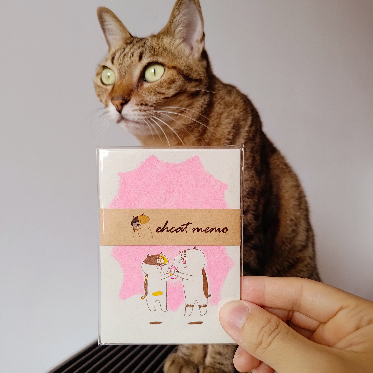 【ehcat貓室友】貓室友日常便箋