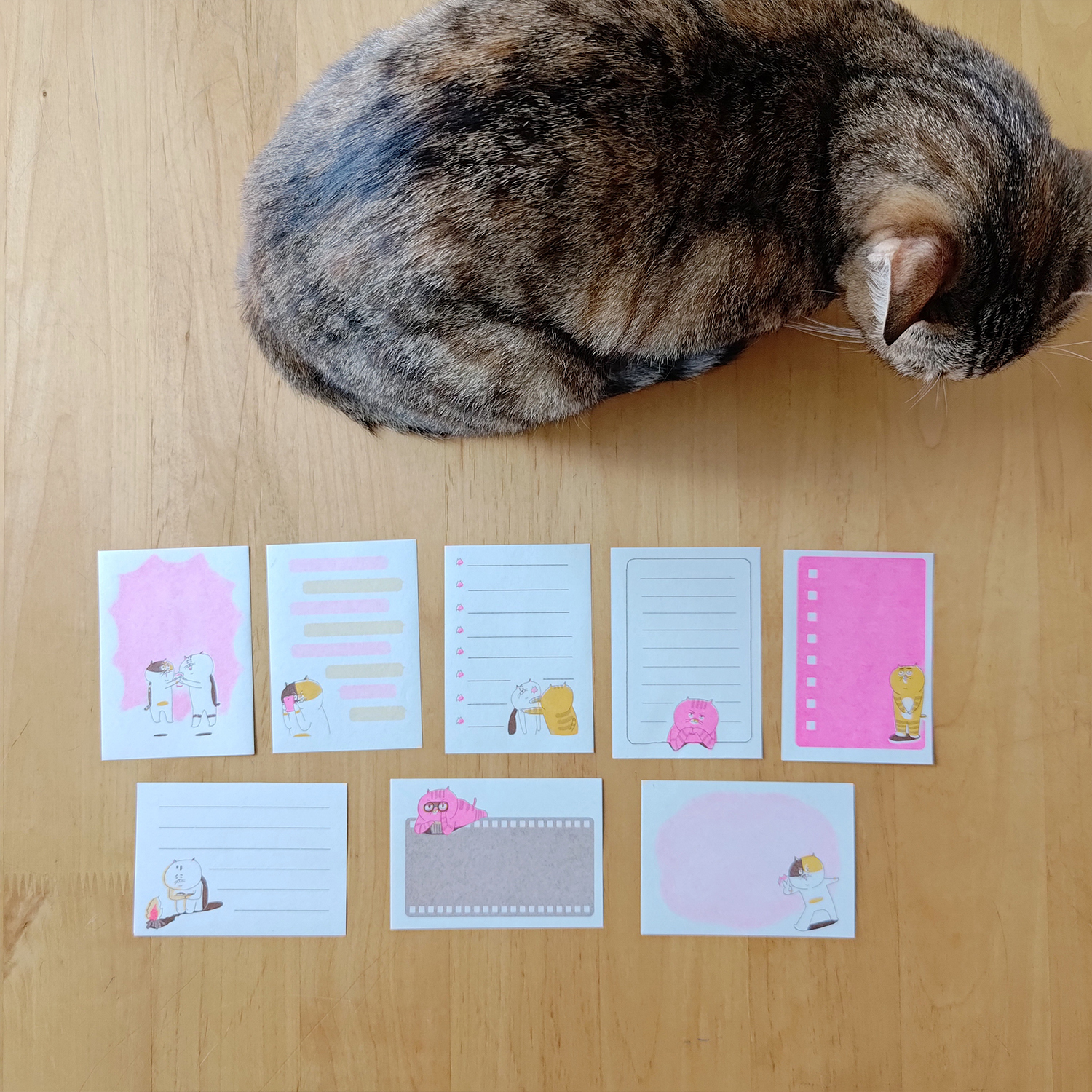 【ehcat貓室友】貓室友日常便箋