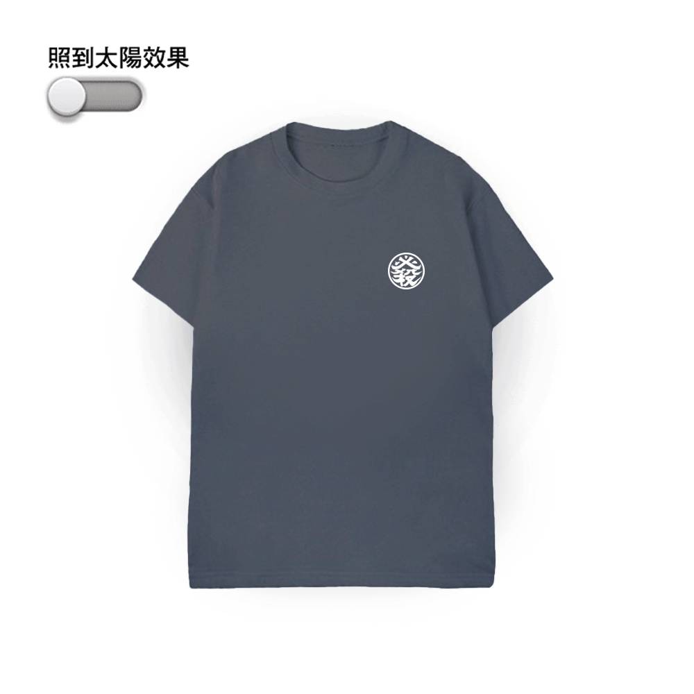 XCTRL 必殺變色虎短T-灰藍