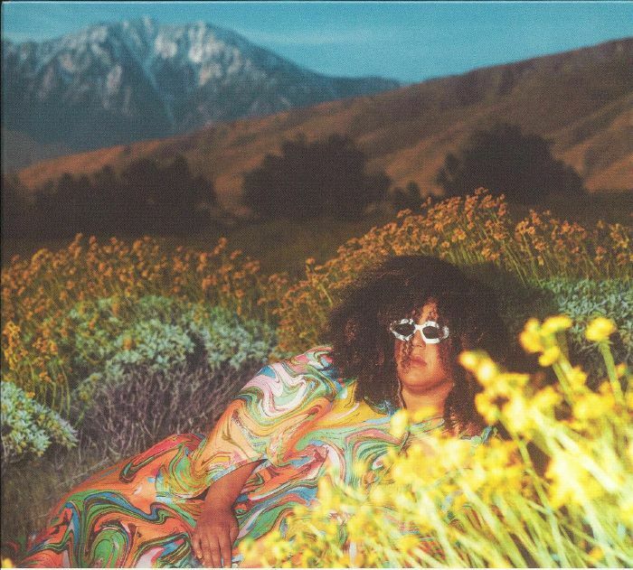 Brittany Howard《What Now》（CD）