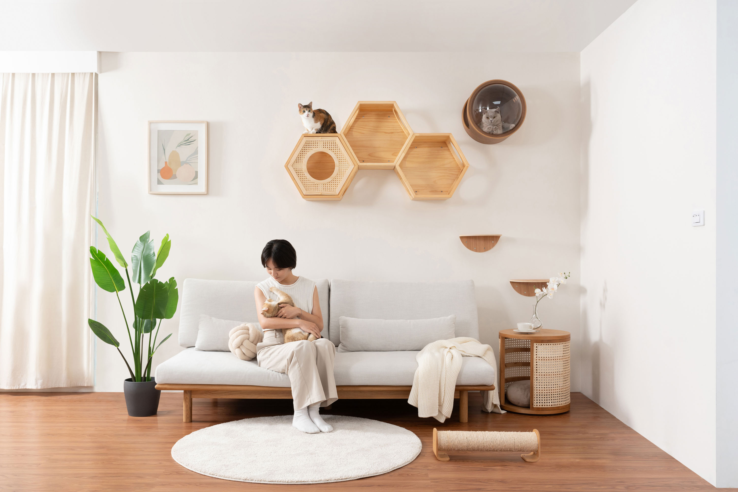 Busy Hexagon Cover Plate