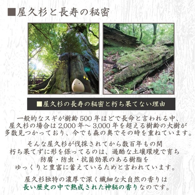 木露 翠綠の屋久杉精油