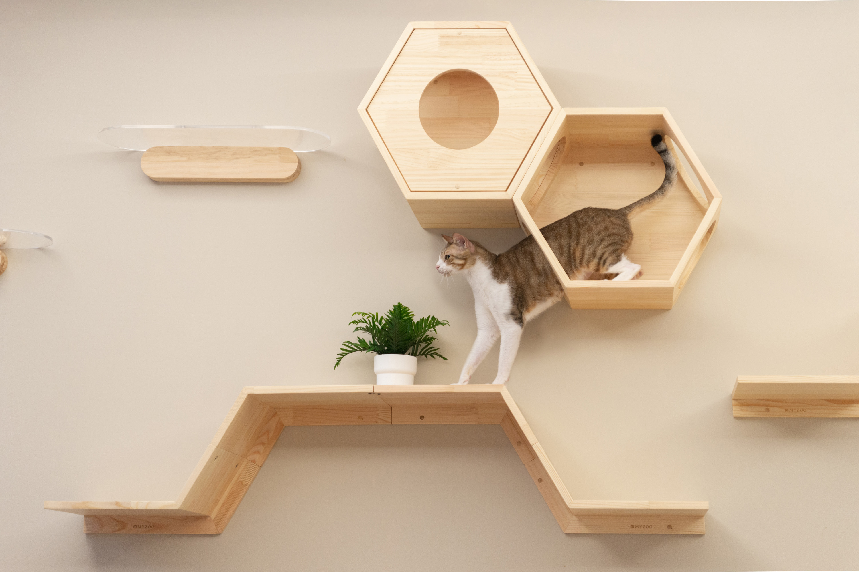 Floating Cat Walkway