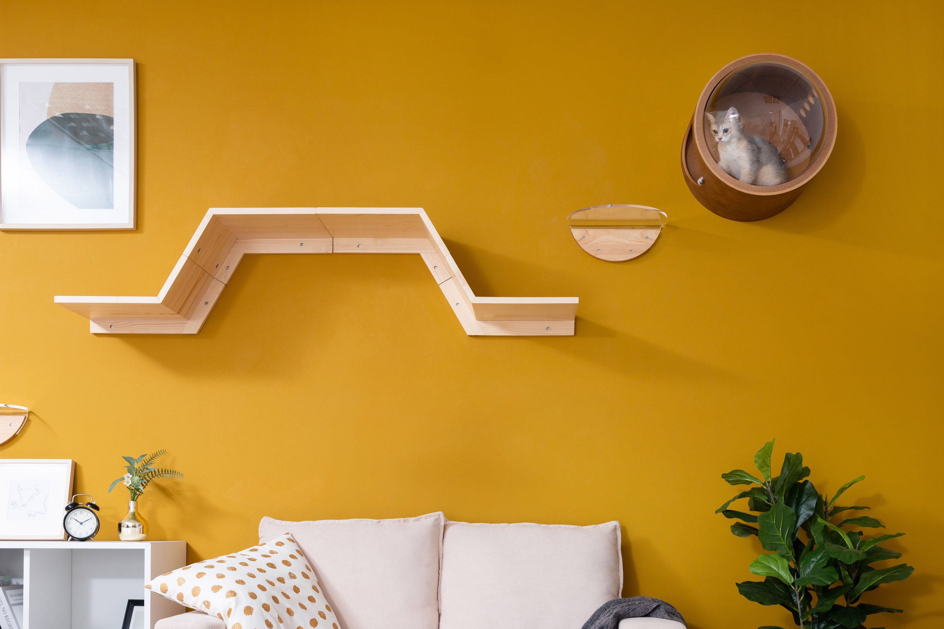 Floating Cat Walkway