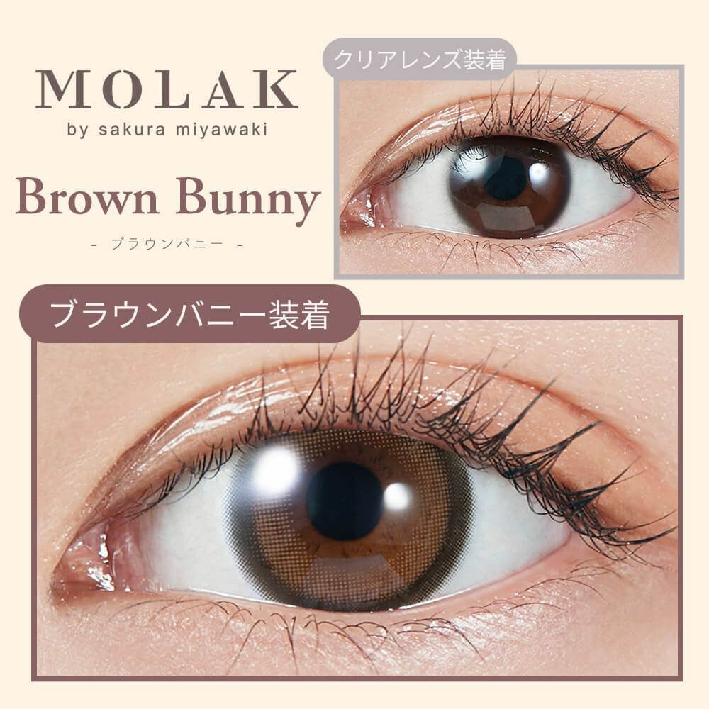 [防UV] MOLAK 1 DAY Brown Bunny 日拋彩妝隱形眼鏡｜每盒10片