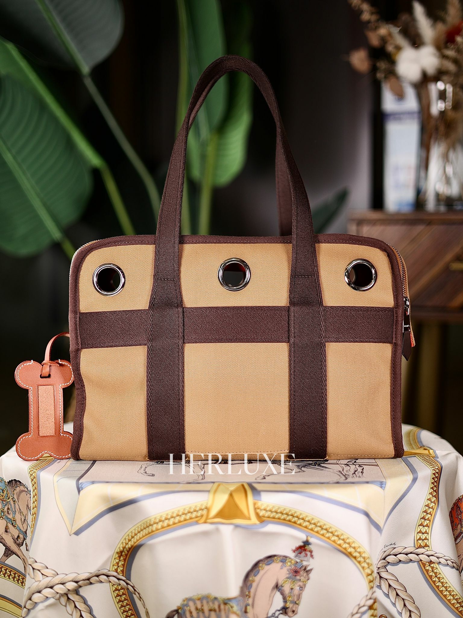 Cabas pour chien fauve/feu