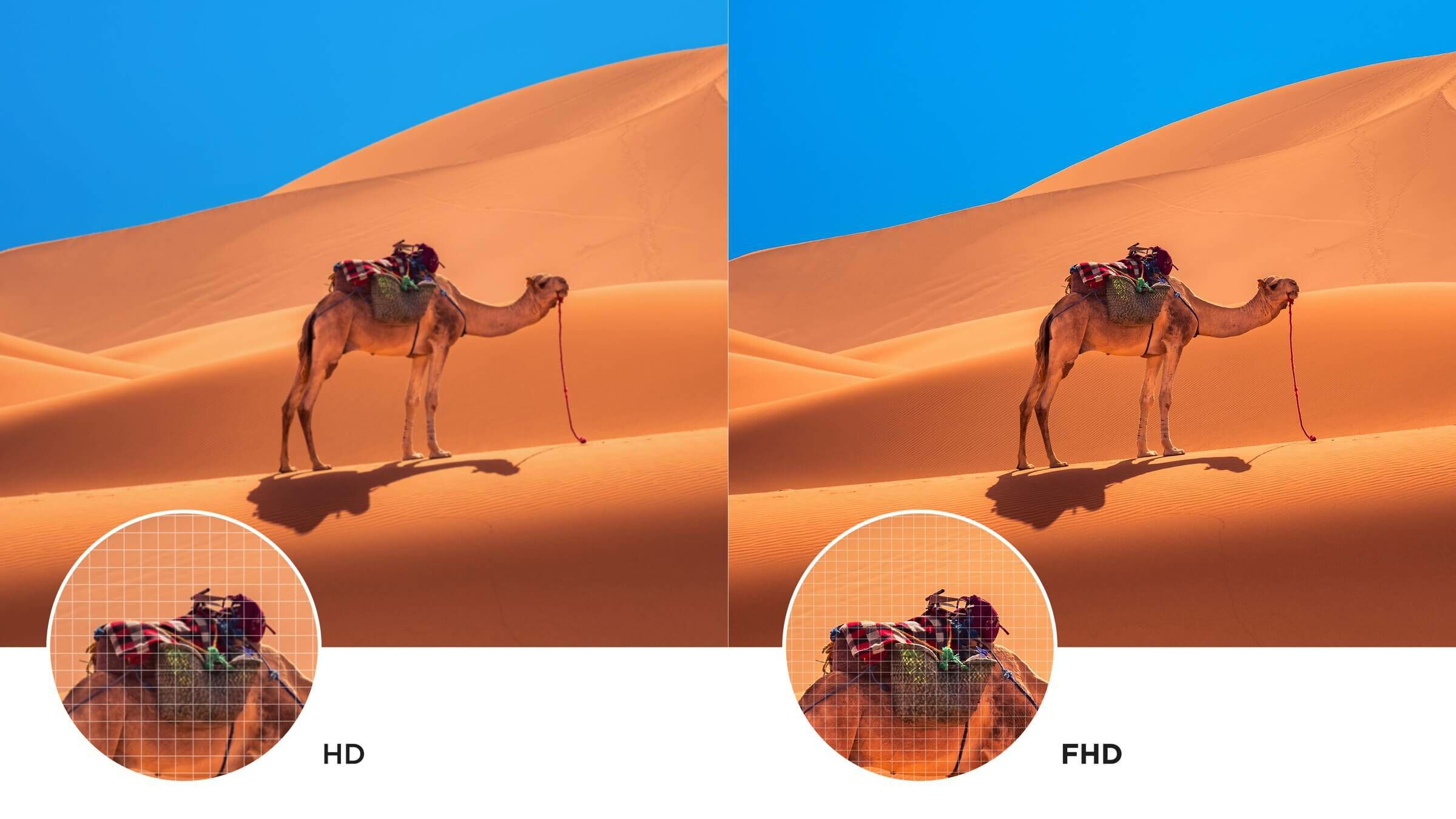FHD-and-HDR10