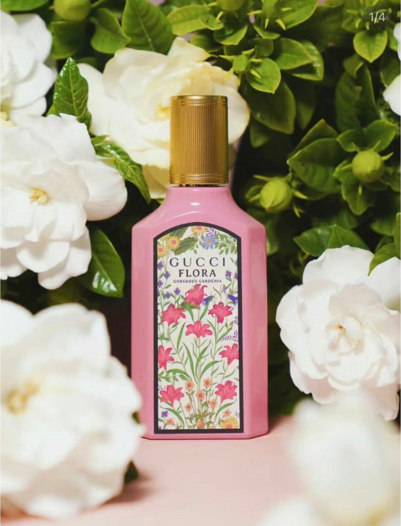 GUCCI 100周年限定Flora香水清甜溫柔女神香氣🧚🏻神仙顏值瓶身