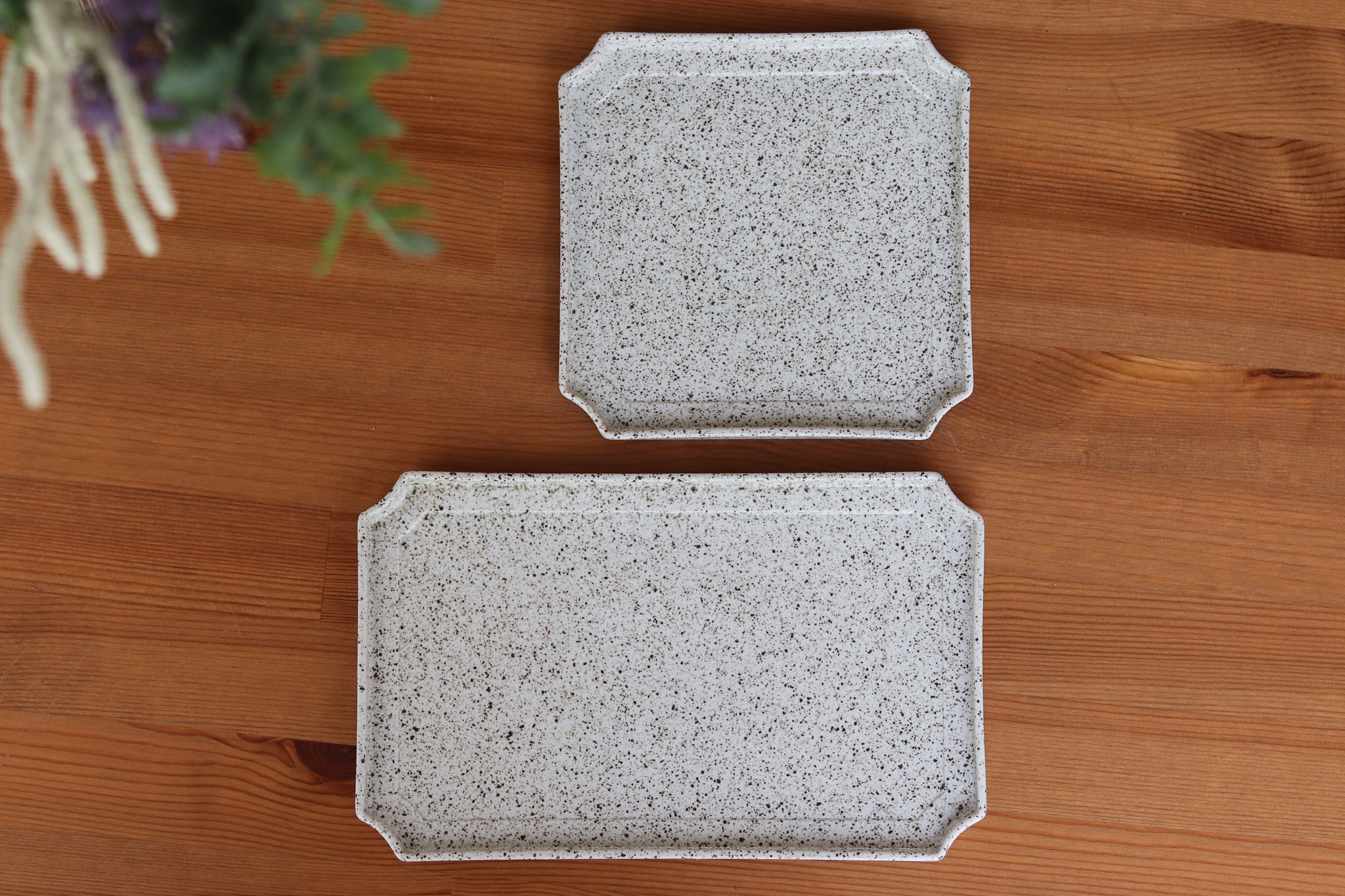 日本 美濃燒 HELIOS 方盤