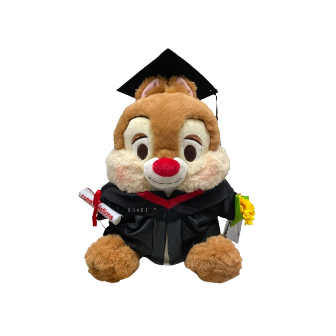 🎓 38cm Dale 畢業公仔 - PolyU Speed 學士