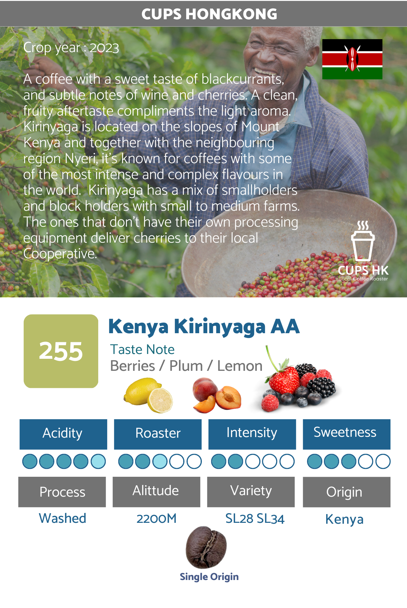 255 ： Kenya Kirinyaga AA 肯亞精選咖啡豆