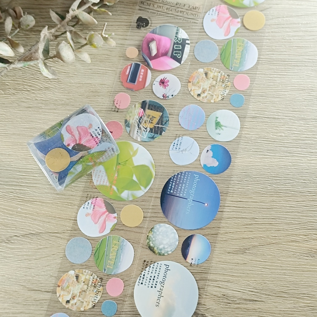 一分之一工作室．Take a Picture 5cm亮面PET膠帶 整捲(無販售分裝)