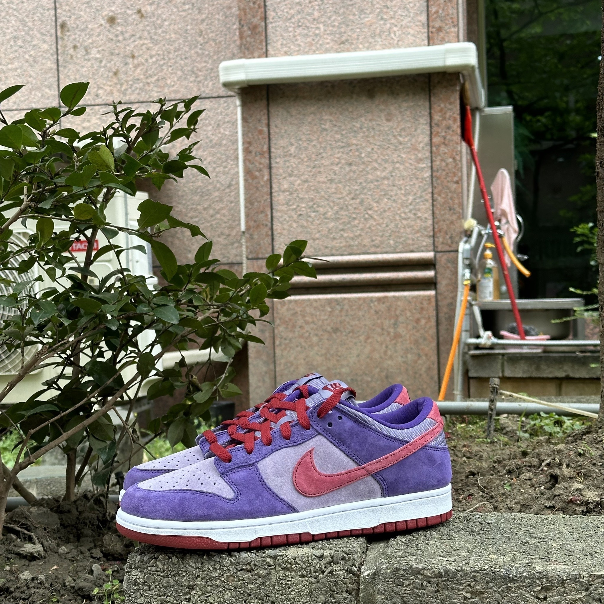 【無鞋盒】Nike Dunk Low Retro SP Plum 紫梅 男鞋 CU1726-500