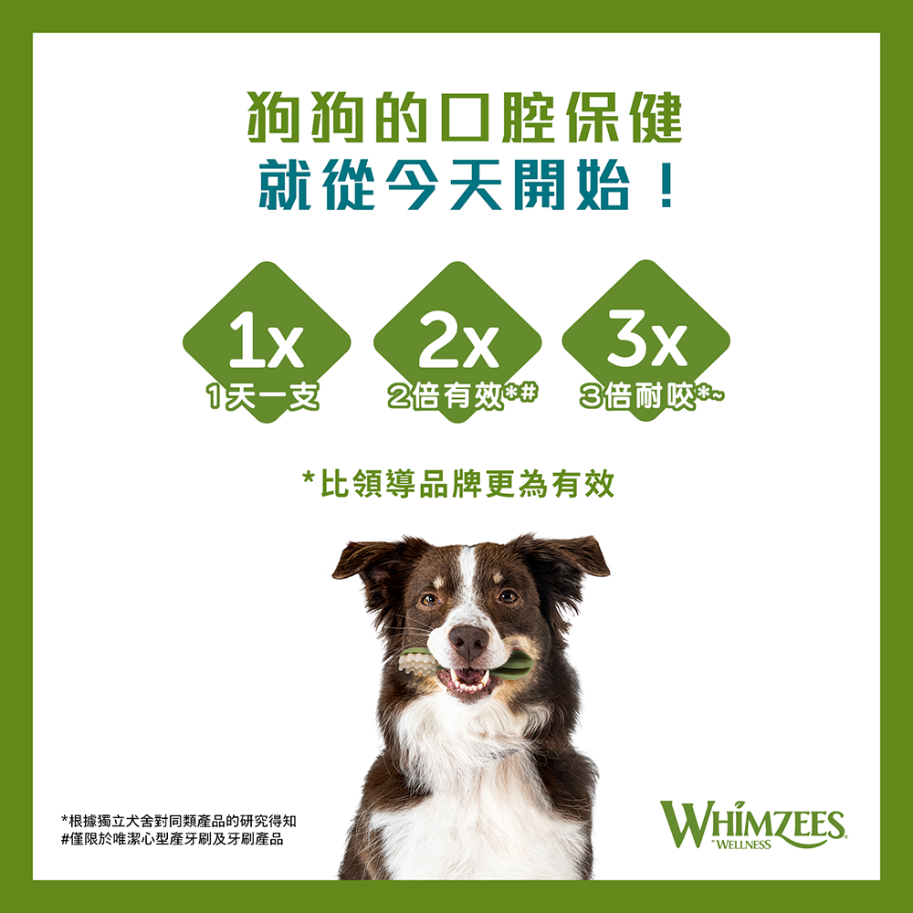 WHIMZEES 唯潔-潔牙骨超值盒