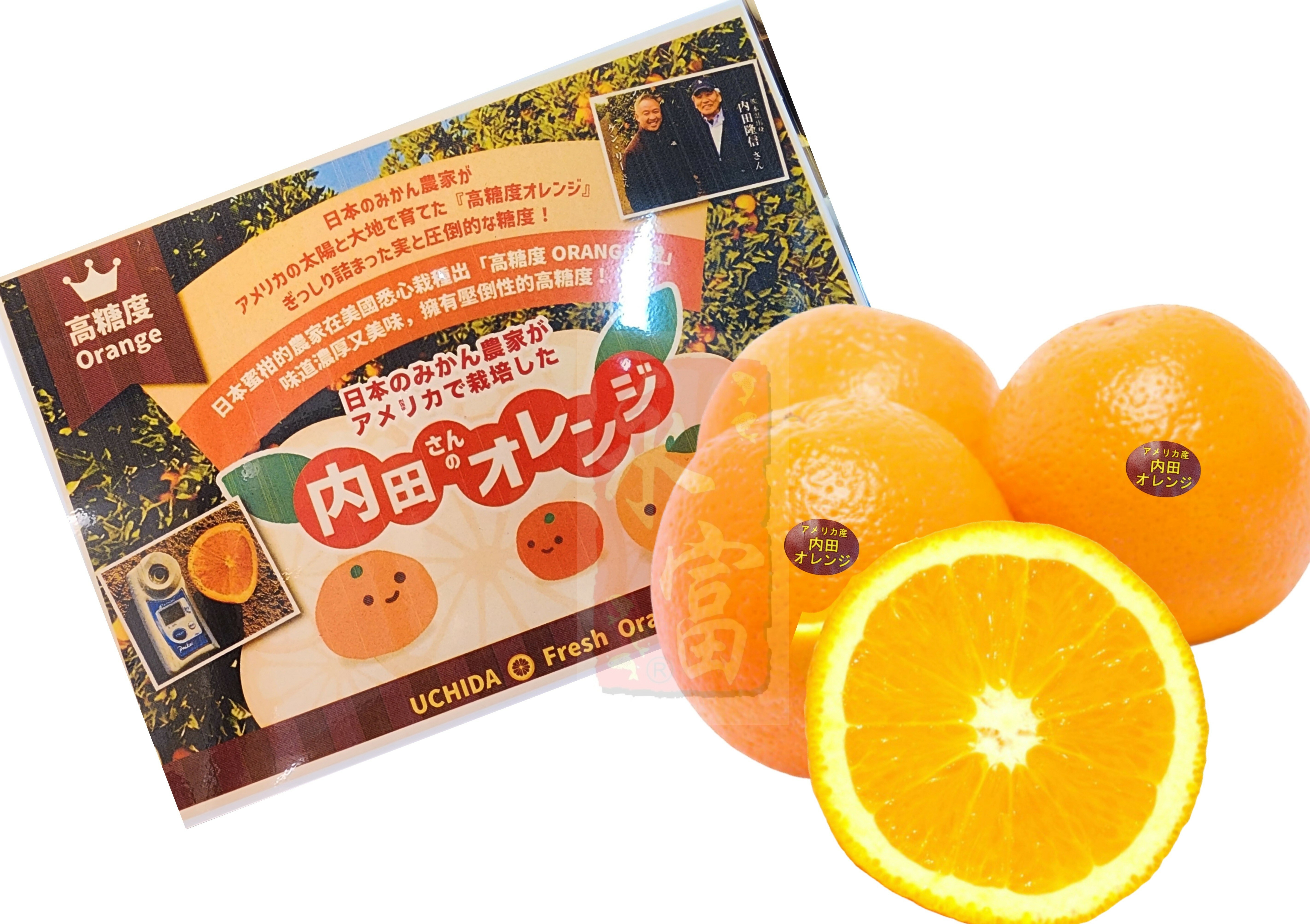 美國特級甜橙(內田橙)