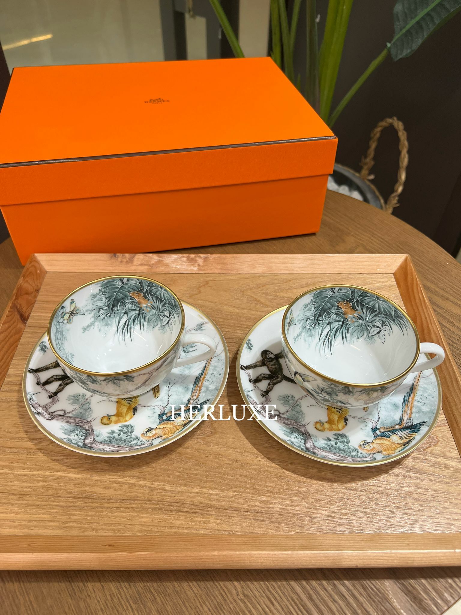 Tssse A thé et soucoupe caruets d’equateur 茶杯套裝