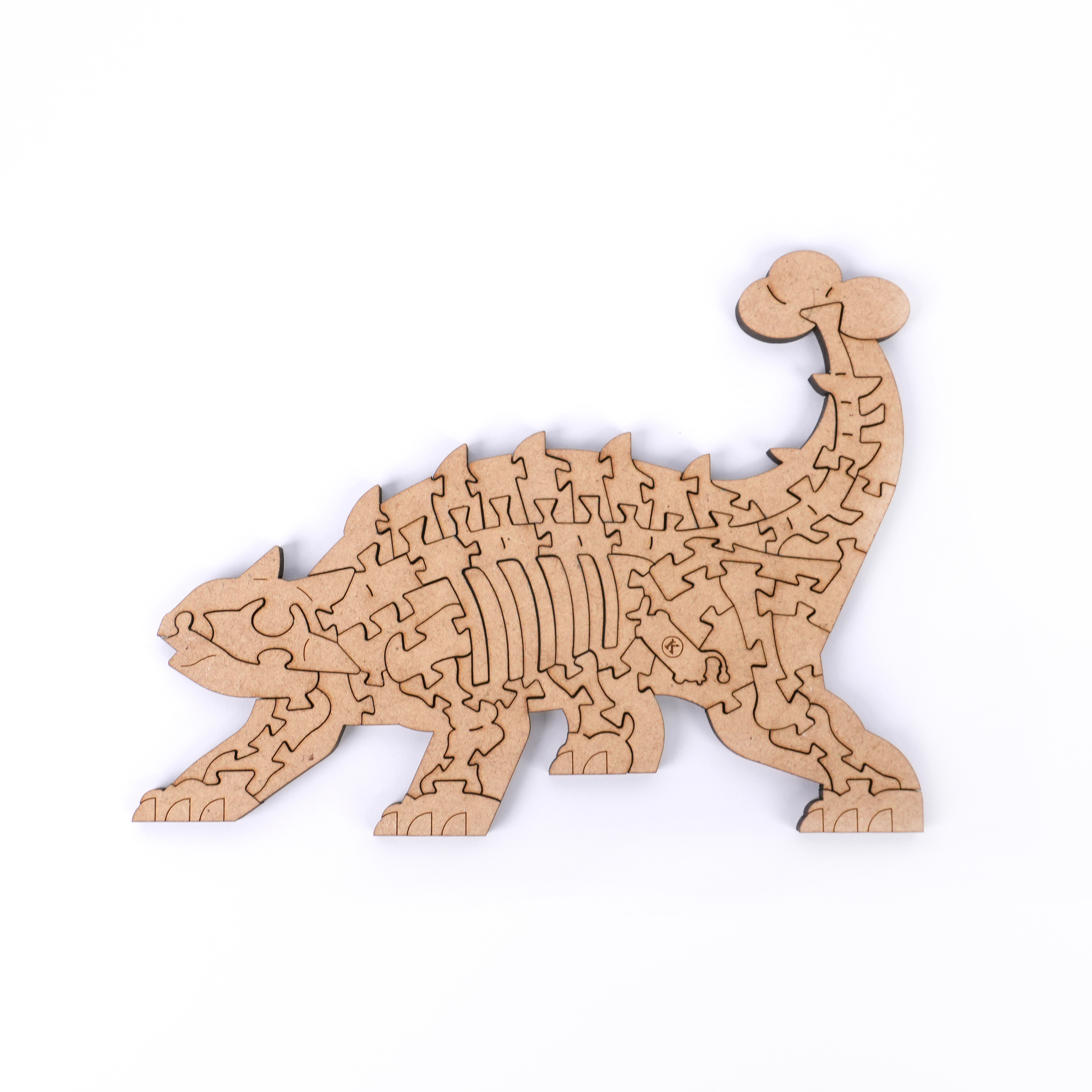 白堊紀恐龍-甲龍