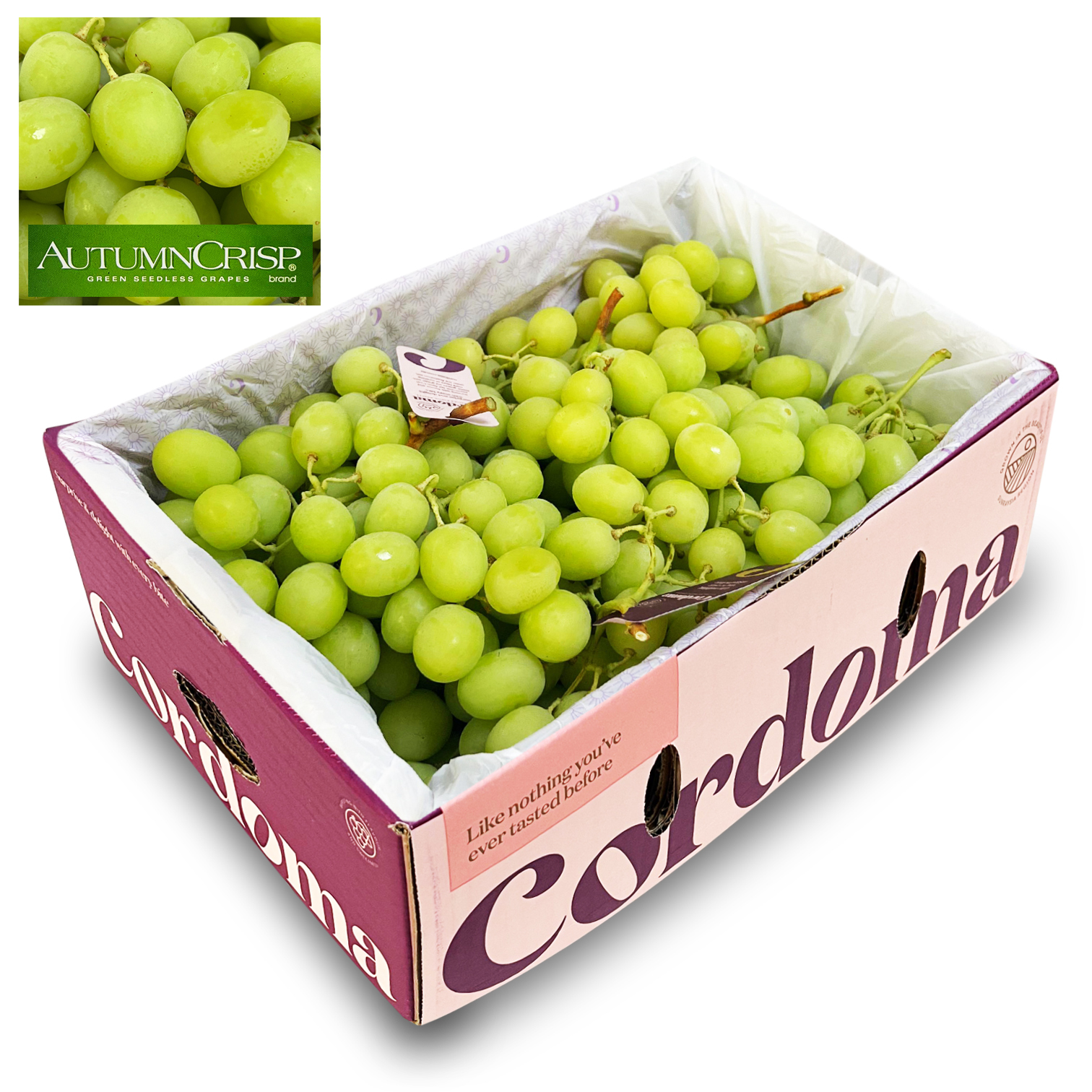 澳洲波子青提 秋脆 [ 4.5kg ]