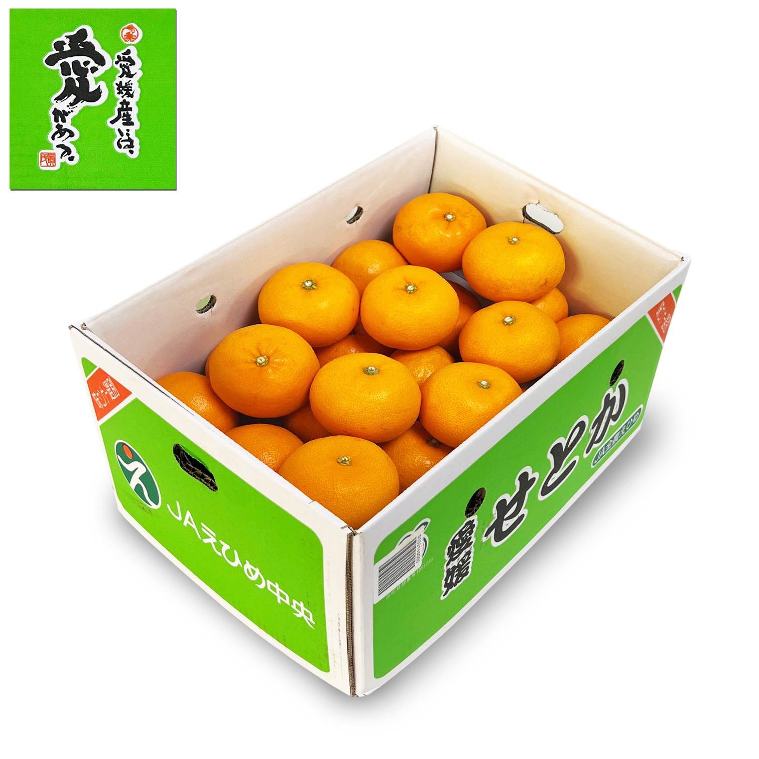 Japanese Setoka Oranges [ 5kg ]
