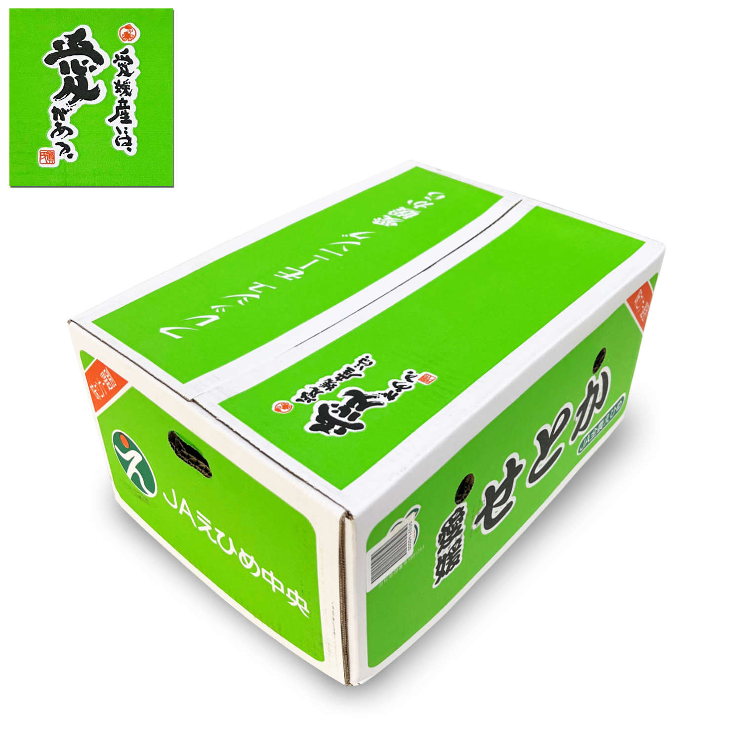 Japanese Setoka Oranges [ 5kg ]