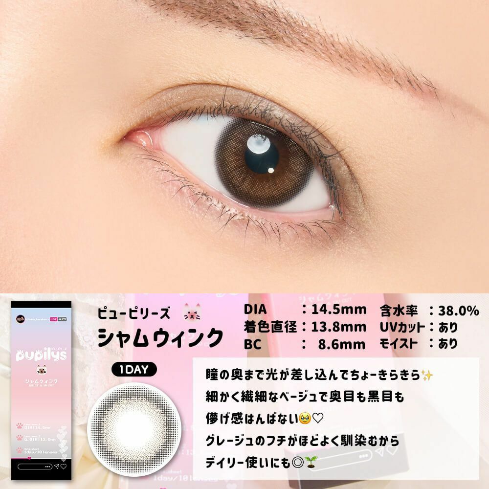 [日拋] pupilys 1 DAY Siamese Wink 彩妝隱形眼鏡｜每盒10片