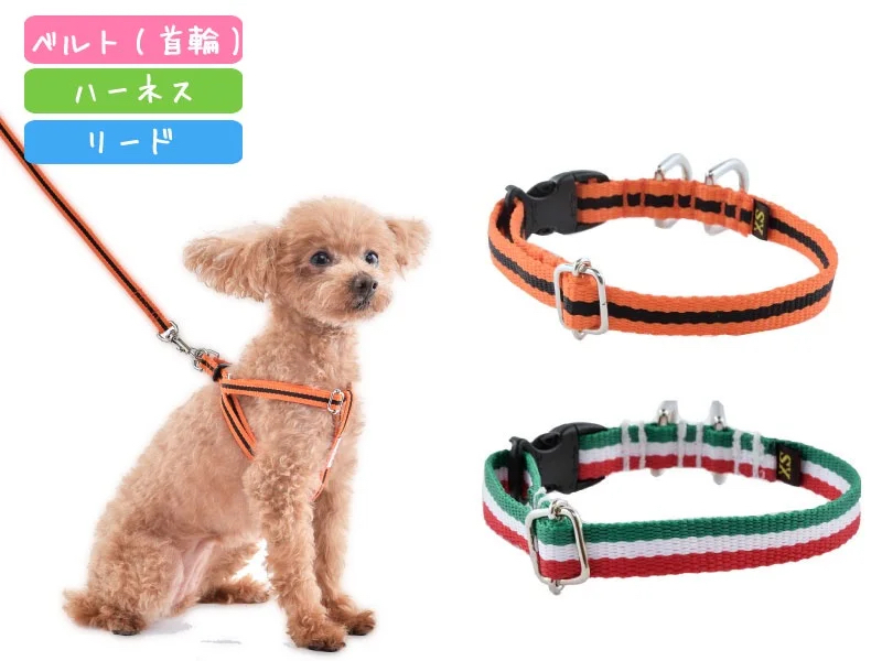 【WHCY】Collar & Lead Set
