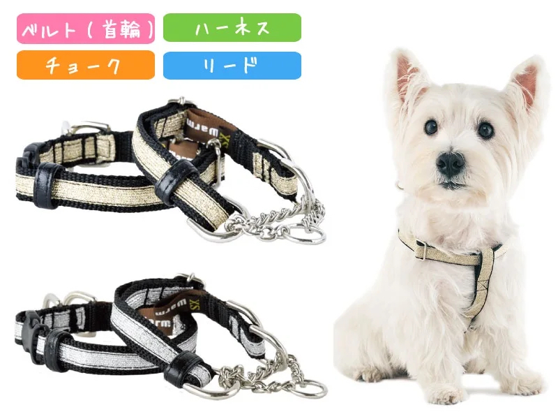 【WHCY】Collar - Gold / Silver (XS)
