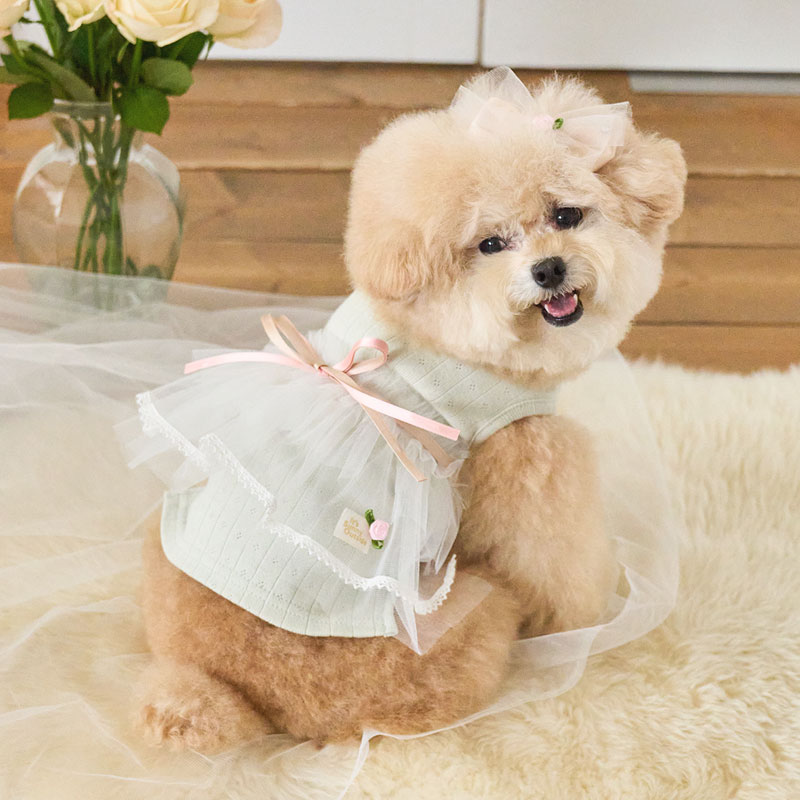 玫瑰芭蕾紗裙裝-薄荷綠 Mint  It’s sunny outside