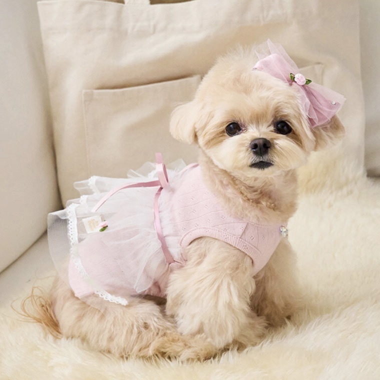 玫瑰芭蕾紗裙裝-印地安粉 IndyPink  It’s sunny outside