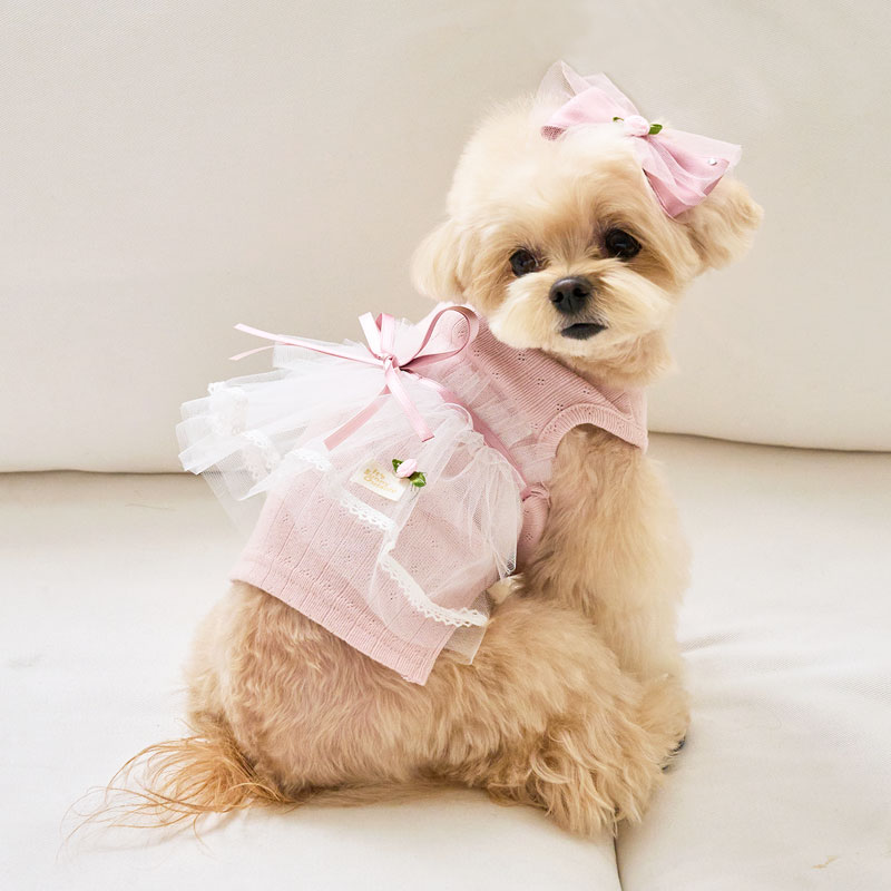 玫瑰芭蕾紗裙裝-印地安粉 IndyPink  It’s sunny outside