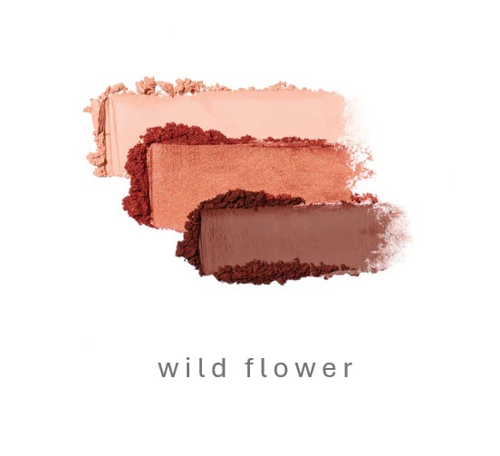 Jade Iredale Eye Shadow Kit 3色眼影組合