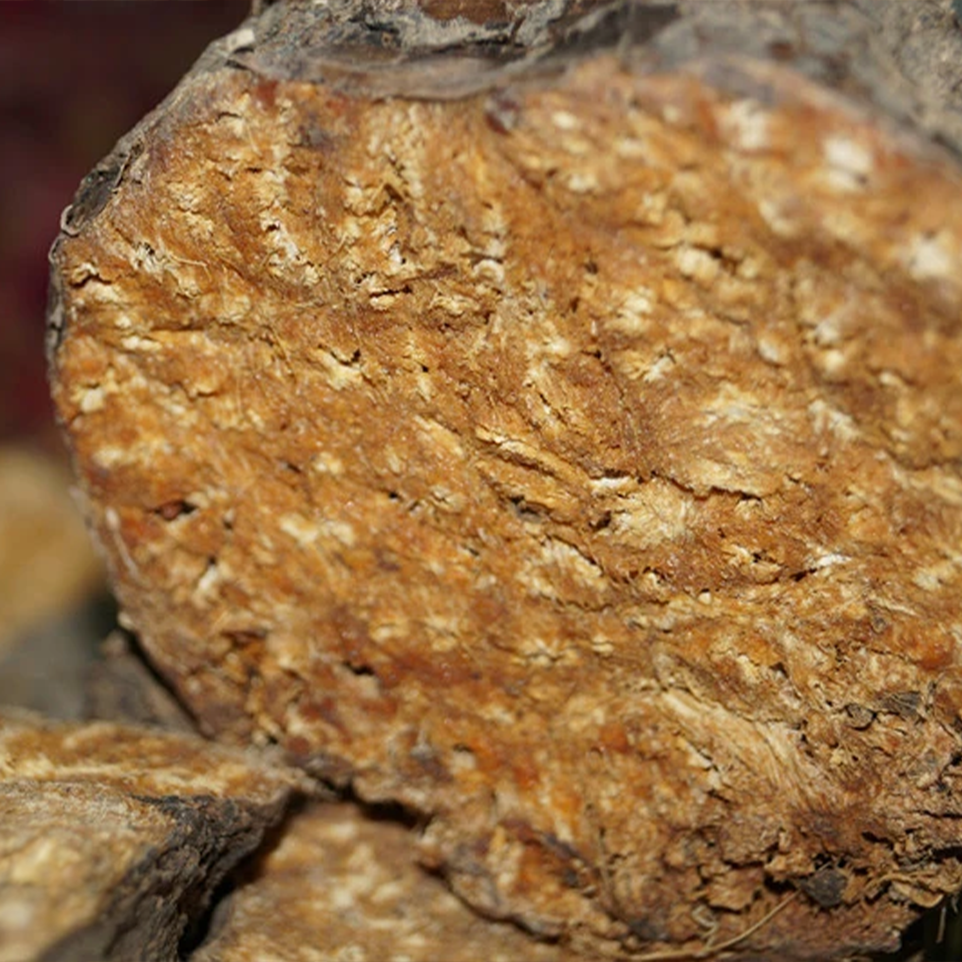 阿魏精油, Ferula asafoetida, 印度阿魏精油, 薰香提升氛圍, 泡澡放鬆, 按摩舒緩, 獨特香氣, 自然樹脂蒸餾, 古老香料藥草, 健康益處, 空氣淨化, 生活品質提升, 肌膚護理, 適合搭配精油, 稀釋使用注意,Asafoetid