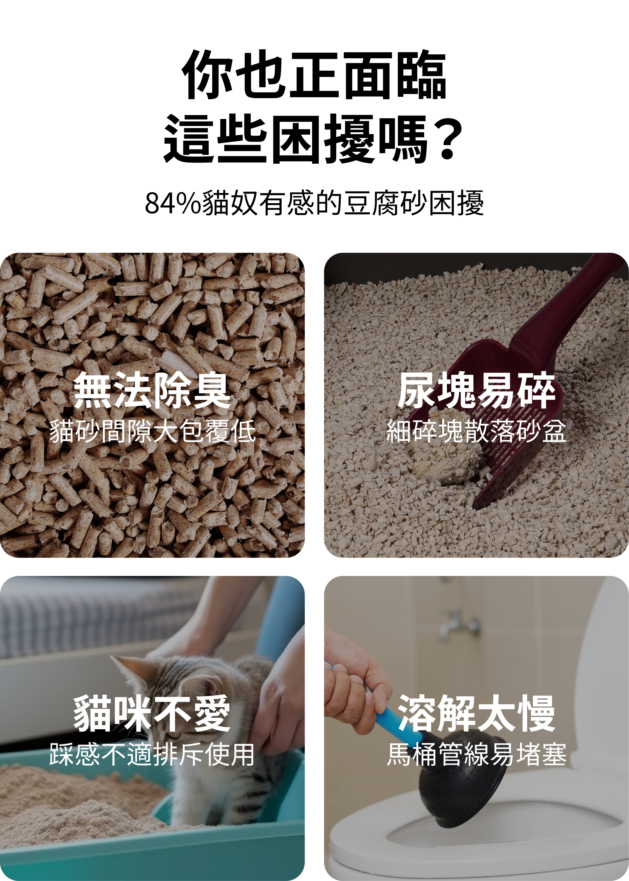 84%貓奴有感的豆腐砂困擾