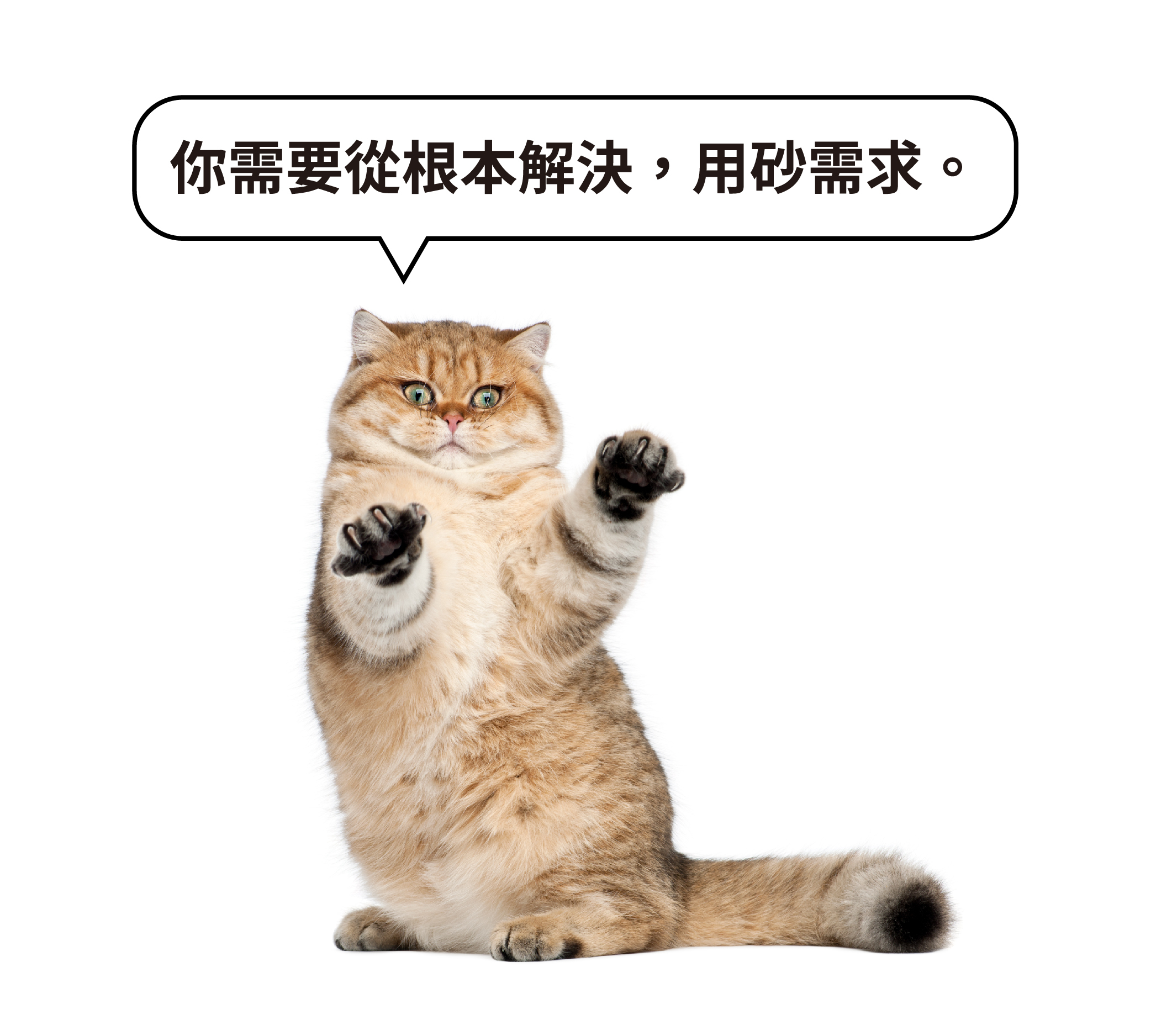 你需要從根本解決，用砂需求