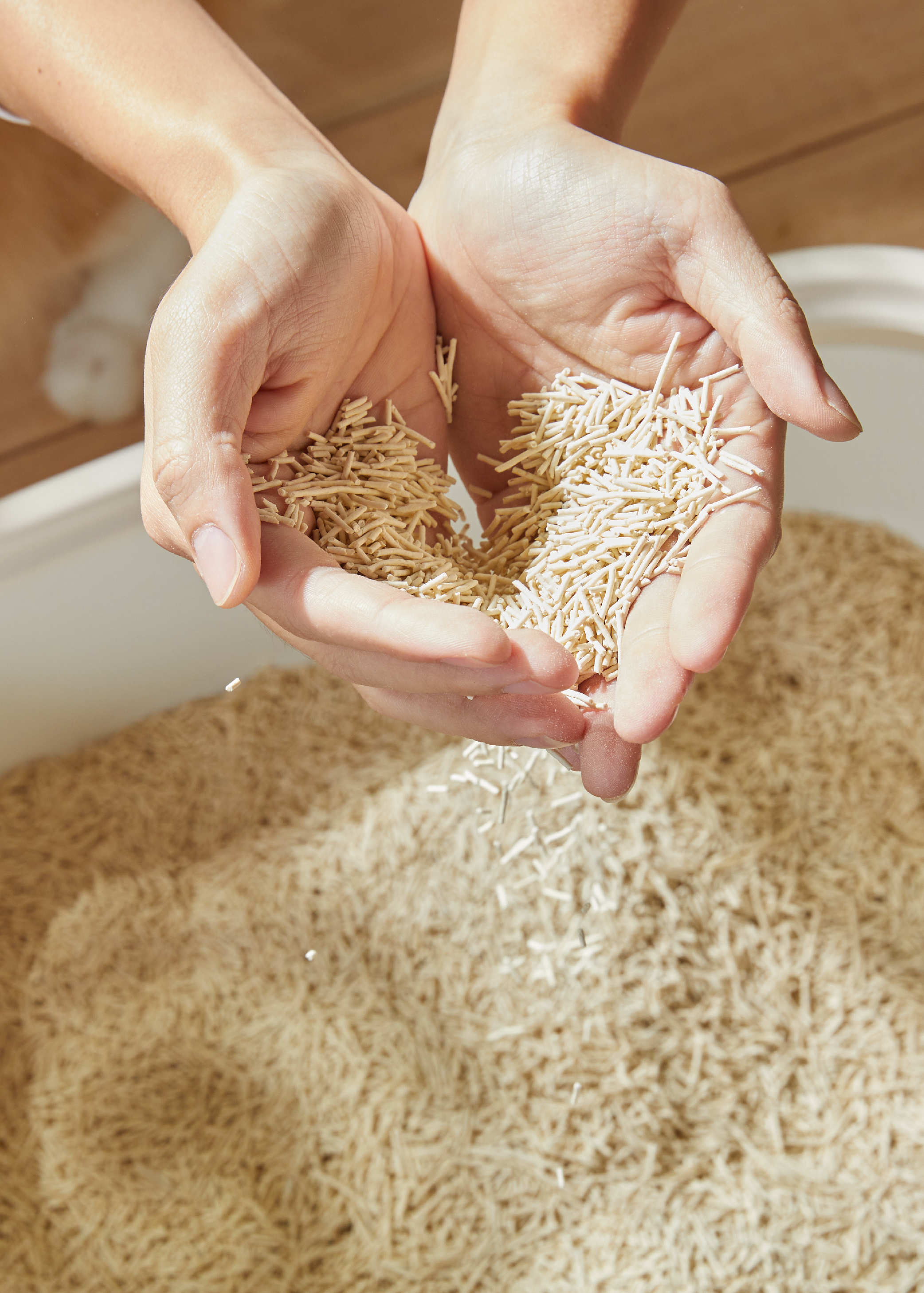 獨家速凝因子，瞬吸速凝大升級