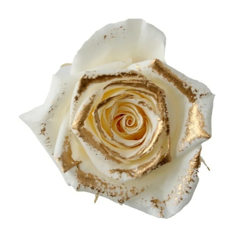 日本不凋中輪玫瑰(鑲金/9朵) 03488-019