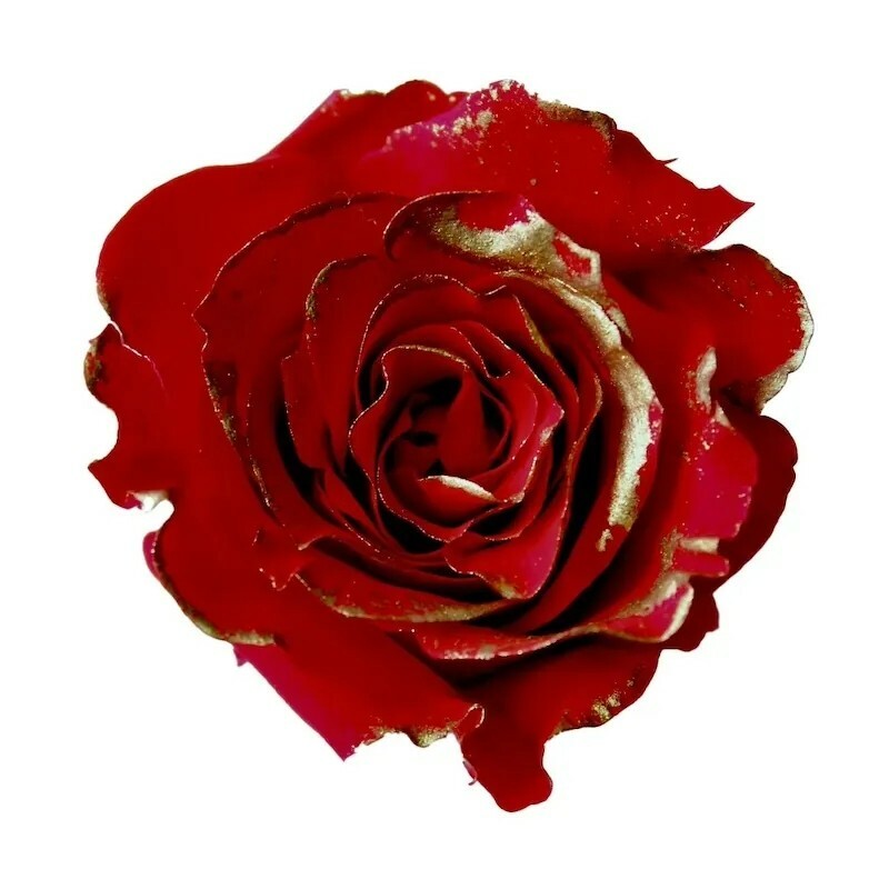 日本不凋中輪玫瑰(鑲金/9朵) 03488-339