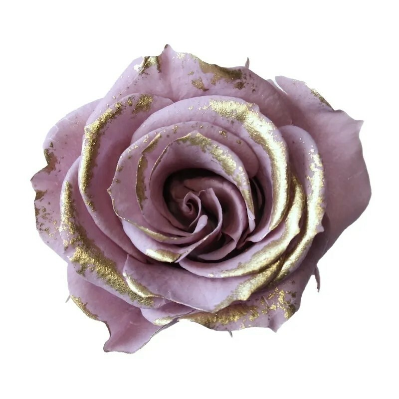 日本不凋中輪玫瑰(鑲金/9朵) 03488-449