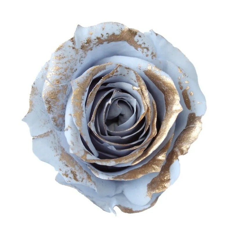 日本不凋中輪玫瑰(鑲金/9朵) 03488-639