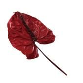 日本不凋火鶴(3支) 05416-471