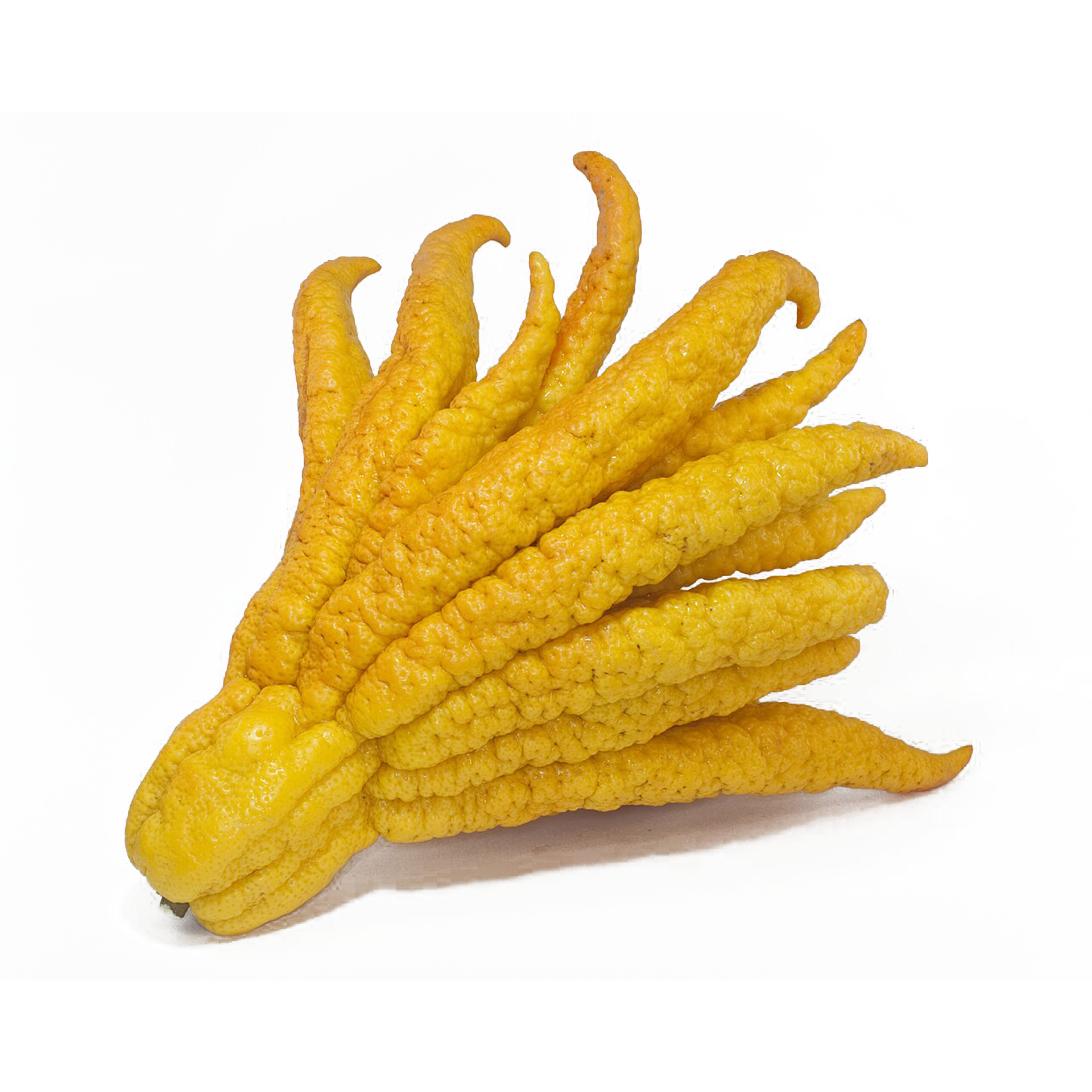 佛手柑精油, 香氛, Citrus bergamia, 心靈舒緩, 身體健康, 皮膚保養, 自然療法, 芳療, 按摩油, 空氣清淨, 香氛擴香, 油性皮膚解決方案, 家庭必備精油, 天然植物精油, 健康生活方式, 自然療癒, 精神振奮,Fragran