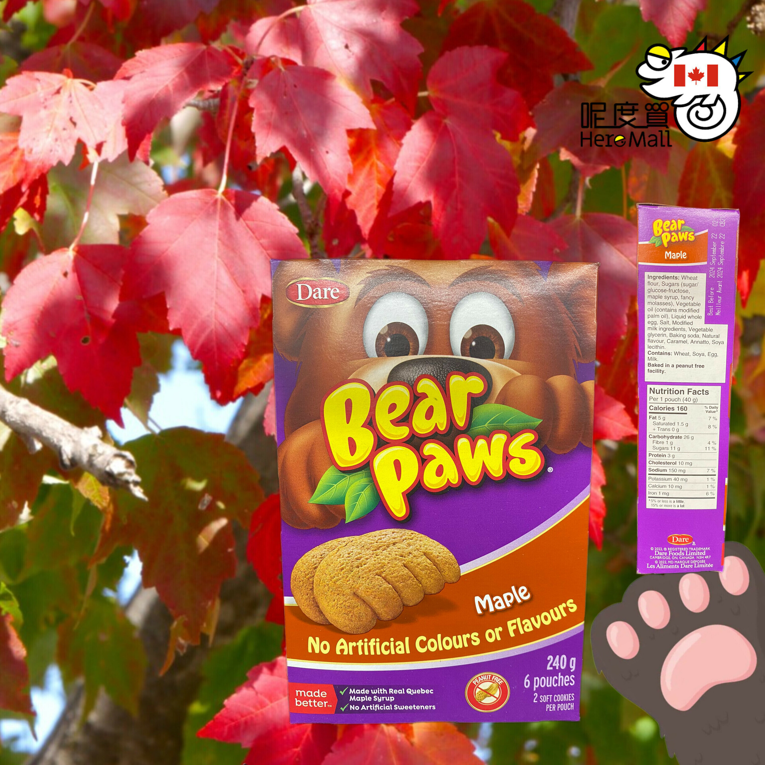 [加拿大直送] Dare 楓糖漿熊熊掌軟曲奇 240g (逢星期日截單,7至10個工作天送貨)